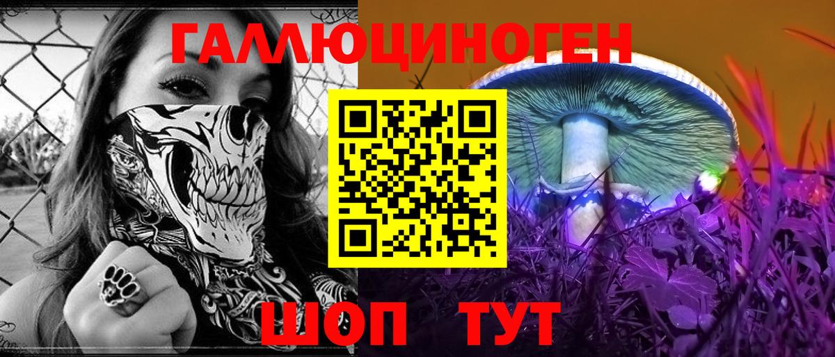 Губаха  Галлюциногенные грибы MAGIC MUSHROOMS  Вход с VPN  Галлюциногенные грибы GOLDEN TEACHER 
